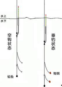 爆料鲢鳙钓法视频教程,视频教程深度解析 第2张 爆料鲢鳙钓法视频教程,视频教程深度解析 第2张