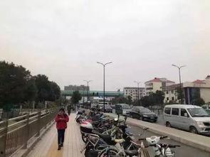 张江街头爆料案件最新,警方全力追查真相