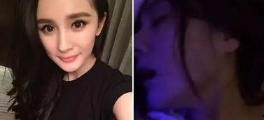 杨之楹被爆料家暴照片视频,真相与争议交织