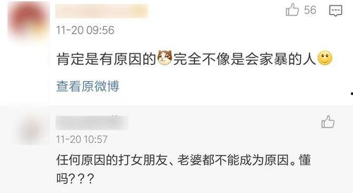 明星家暴爆料热搜视频播放,网络暴力下的家庭悲剧 第3张 明星家暴爆料热搜视频播放,网络暴力下的家庭悲剧 第3张